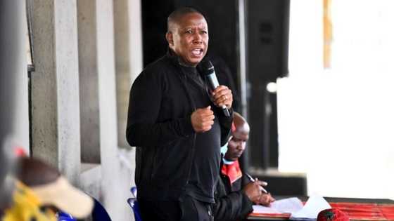 EFF CIC Julius Malema vows to give South Africans land, power, pension grants