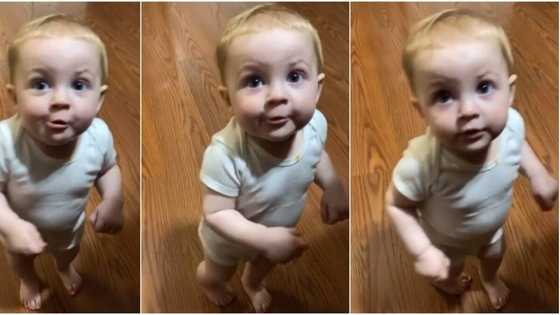 Toddler warms hearts with response he gave to mum during questioning