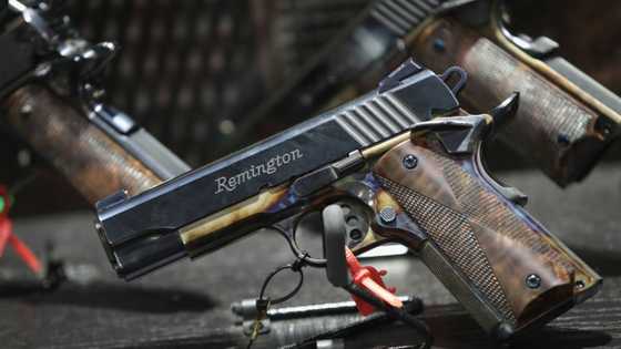 Canada to ban handgun imports: minister