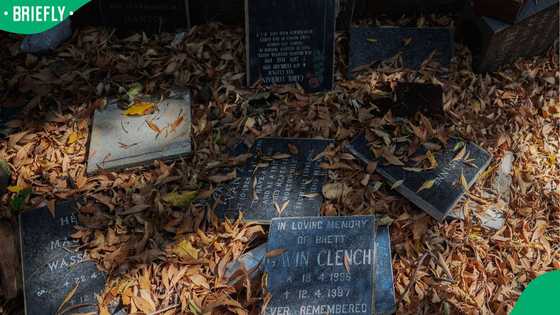 City of Johannesburg condemns tombstone theft and vandalism at graveyards, SA reacts to crime trend