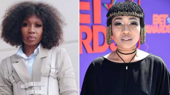 Dineo Ranaka claps back at a lady attempting to change her mind about marriage: "I don't think we are all designed to want the same things"