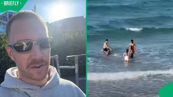 "15 degrees is winter": SA relates to clip showing Saffas and Brits in varying clothing at CPT beach