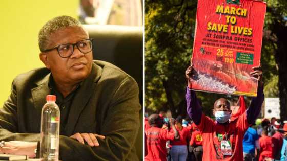 Fikile Mbalula questions EFF’s pro-poor stance, says national shutdown will affect the impoverished the most