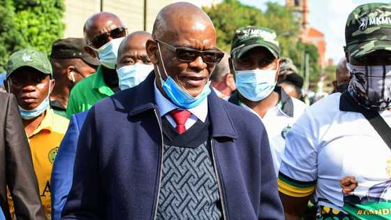 State Capture Report: Zondo recommends that Ace Magashule be held accountable for failed Vrede farm project