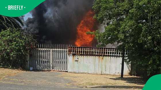 Quick action by Ekurhuleni firefighters saves Primrose family and pets from vehicle fire