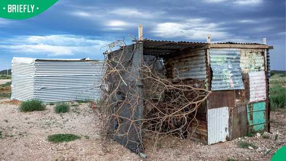 “New way to steal land”: Mzansi reacts to new eviction laws coming to SA in TikTok video