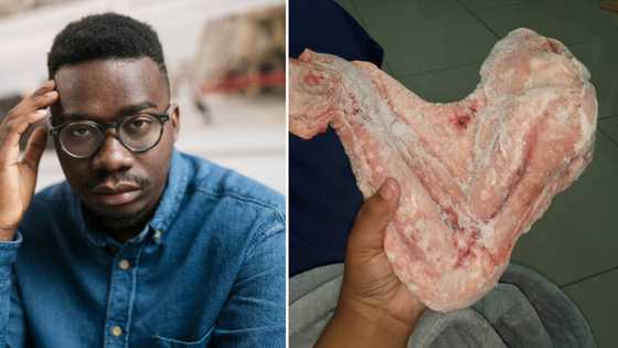 Photo of massive chicken wing has the people of Mzansi busting jokes: “I’m telling God, y’all eating Gabriel”