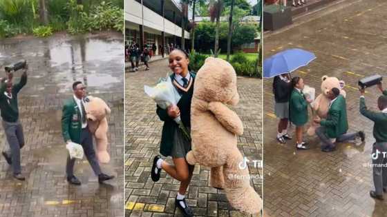 Pretoria school romance: Mzansi moved as boy surprises bae by kneeling in rain with Valentine's Day gifts