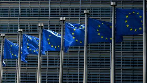 US economist renounces EU job after Macron doubts