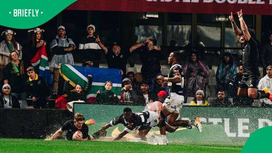 ‘Serious question’: Kobus Wiese takes aim at Sharks after All Blacks rout