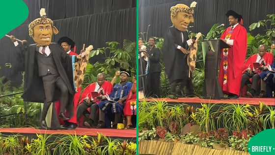"The best": Impi UKZN mascot steals the show at graduation ceremony in video, SA raves