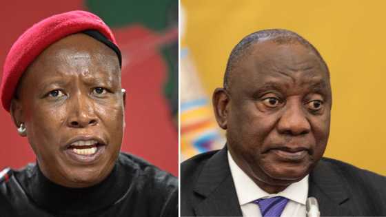 EFF's Julius Malema threatens to leak video of President Cyril Ramaphosa counting hard cash on a plane