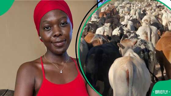 “We are in charge now”: African women create new lobola rules in viral TikTok post