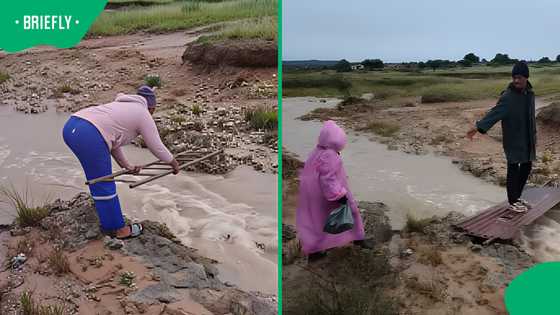 "This is so painful to watch.": North West community build makeshift flood crossings amid water struggles