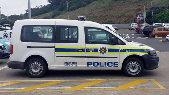 5 Protesting female EFF members arrested outside police station