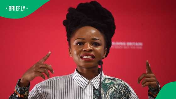 EFF MP Naledi Chirwa to appear in Hatfield Court on assault charge after Brooklyn Police incident