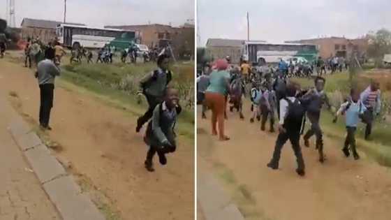 Alleged zama zamas terrorise 2 Mpumalanga schools demanding the release of illegal miners from police custody