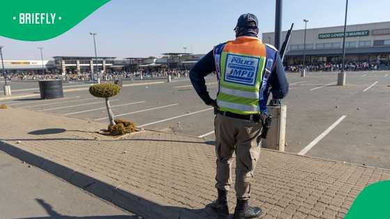 A quarter of a million security personnel prepared for 30 June protests in Gauteng
