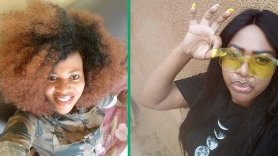 Woman wows Mzansi with her stunning rental room decor, SA is impressed