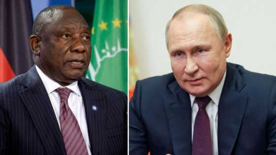 Cyril Ramaphosa discusses food security with Russian president Vladimir Putin in the runup to the BRICS summit