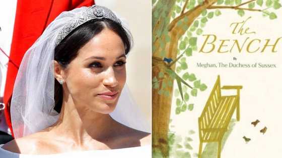 Meghan Markle to release children's book about father-son relationships