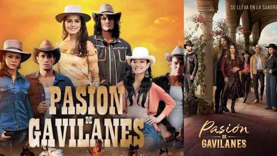 Hidden Passion on Telemundo: cast, plot summary, full story, teasers, trailer