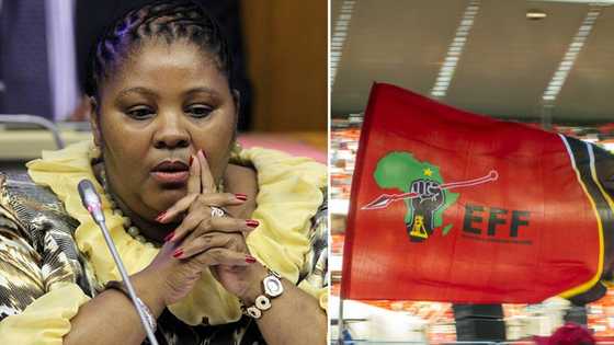 EFF wants a motion of no confidence against Speaker of Parliament Nosiviwe Mapisa-Nqakula for Phala Phala panel