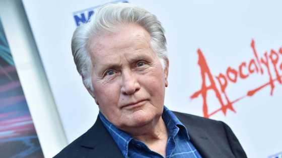 Martin Sheen's grandchildren and children: More on his family tree