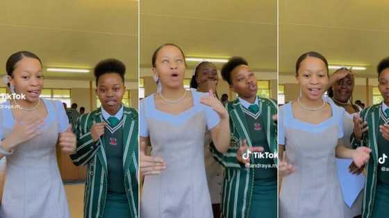 3 Mpumalanga schoolgirls do 'Yah Yah Yah' dance challenge, Uncle Waffles joins in as Mzansi fawns over TikTok with 3.5M views