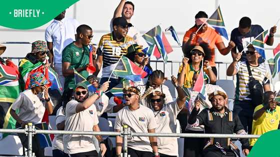 SAFA in turmoil: Former acting CEO arrested in fraud probe