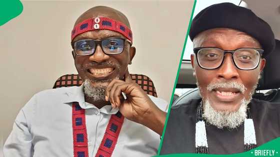 "Take Bheki Cele": Man wishes to trade 3 politicians to make Nhlanhla Mkhwanazi Xhosa, SA amused
