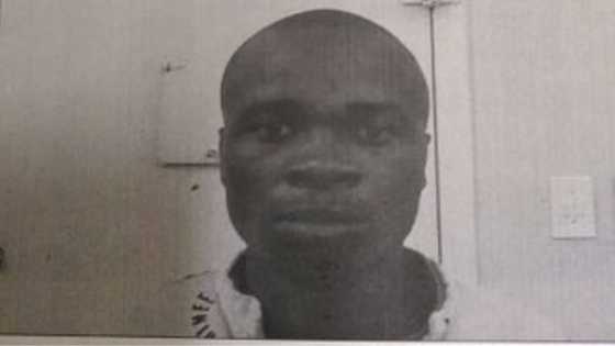 Second Makhanda prisoner escapee caught hiding in bushes