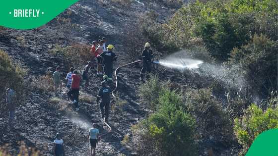 Wildfires in Overberg and Kommetjie prompt safety warning from Western Cape Government