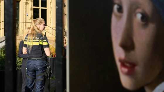 'Girl with a Pearl Earring' targeted by climate activists