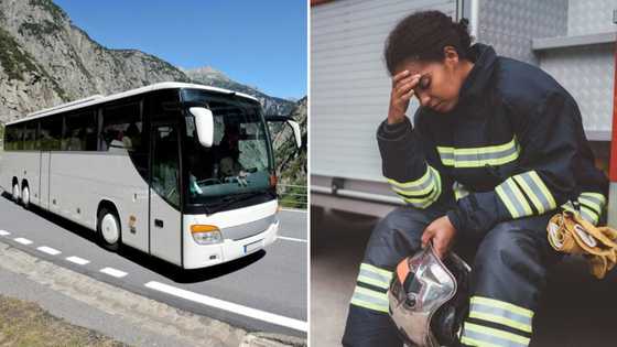 20 Dead, 68 injured in massive head-on collision between bus and CIT van in Limpopo, Mzansi mourns tragedy