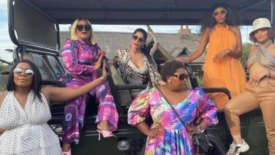 'The Real Housewives of Durban' trends as fans complain about no new episode: "What are we gonna do?"