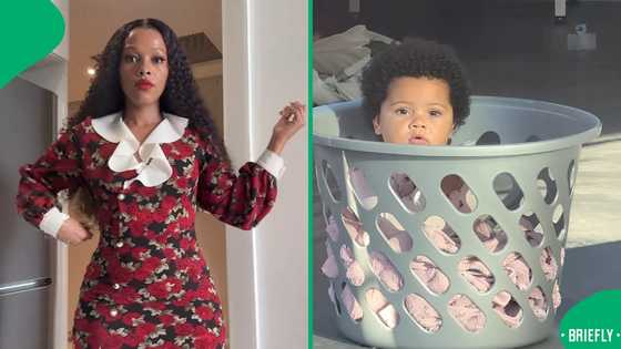 "Baby fever get away": Domestic workers keep baby safe in washing basket while working, SA amused