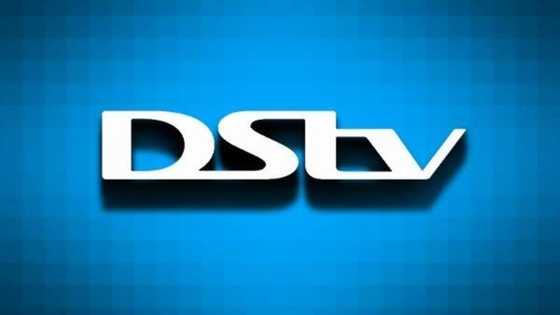 How to watch DStv online for free from any device in 2024 (with infographic)