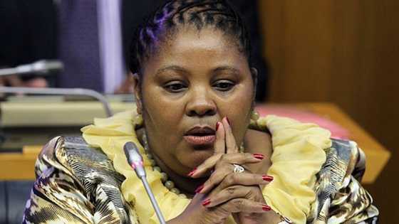 Minister Mapisa Nqakula backtracks on statement, pledges loyalty to Ramaphosa