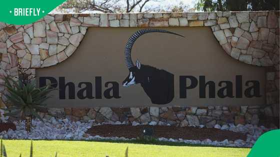 Phala Phala trial: Proceedings postponed after accused complain about interpreter's inaccuracies