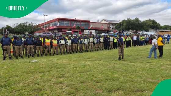 Tshwane woman arrested for attempting to bribe TMPD official over job position
