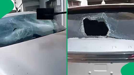 "He must get her arrested": Man films angry girlfriend vandalising his car, SA aggrieved