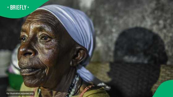 76-year-old Gogo sees her first elephant during SANParks free access week