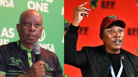 ActionSA sinks EFF coalition describing as being the aame as the ANC