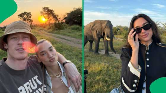 "One of those experiences...": Dua Lipa shares love for SA after incredible Kruger trip
