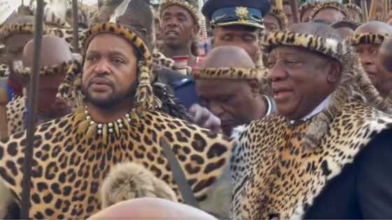 Video shows Cyril Ramaphosa and King Misuzulu singing together at Zulu king crowning ceremony, SA reacts