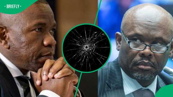 The Big 5 Hunts Back: Inside the Madlanga Commission and the War on Witnesses