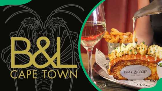 Burger and Lobster Cape Town menu: explore the latest prices