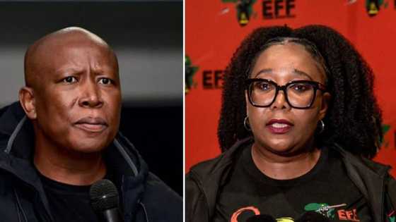 EFF wants US ambassador to SA removed over Russia allegations, citizens agree