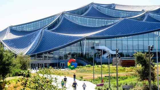 Roofs coated with canopy-like solar panels and indoor spaces awash in sunglight: Google has bet big on in-person work with its sprawling new Silicon Valley offices.